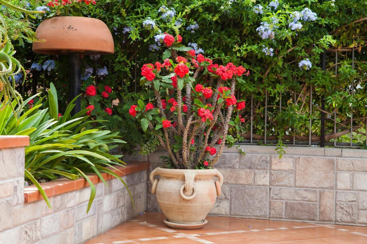 B&B Villa Carmen Sant'Alessio Siculo Exterior foto